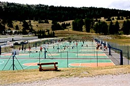 Camps Basket